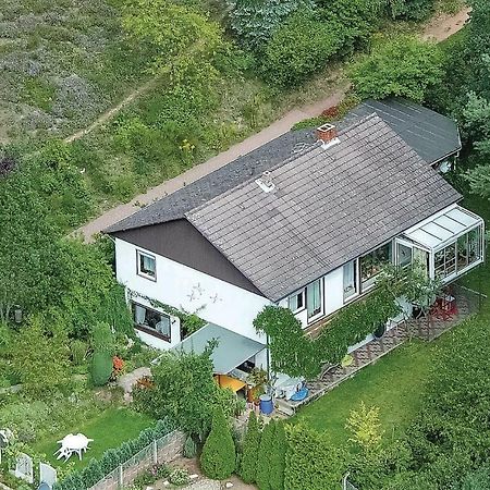 Amazing Apartment In Hinterweidenthal With Wifi Exteriér fotografie